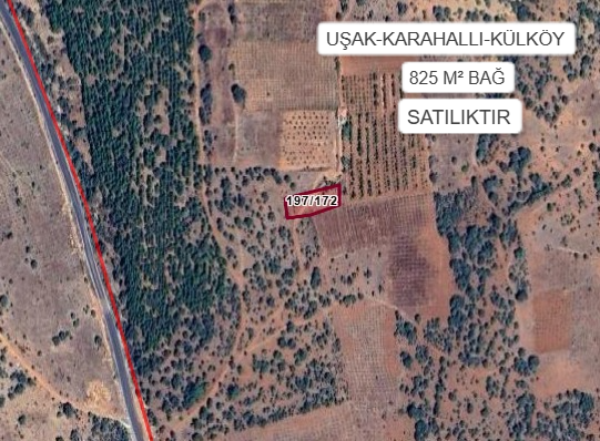 UŞAK KARAHALLI KÜLKÖY KÖYÜ’NDE 825 M² BAĞ SATILIKTIR - UŞAK KARAHALLI fotoğraf 2