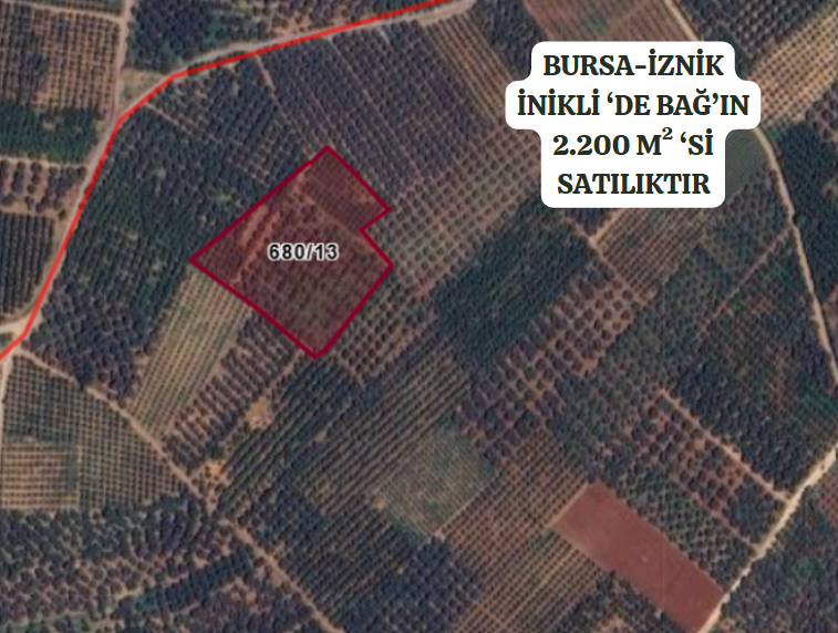 BURSA İZNİK İNİKLİ'DE BAĞ'IN 2.200  M²'Sİ  SATILIKTIR - BURSA İZNİK fotoğraf 2