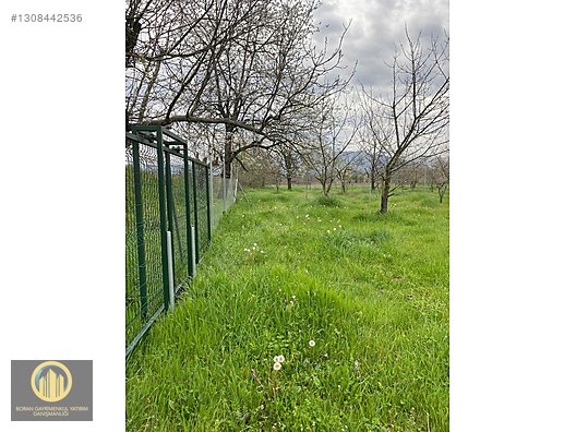 KUCUK YENICEDE RESMI YOLA CEPHE HOBI BAHCESI - BURSA İNEGÖL fotoğraf 18