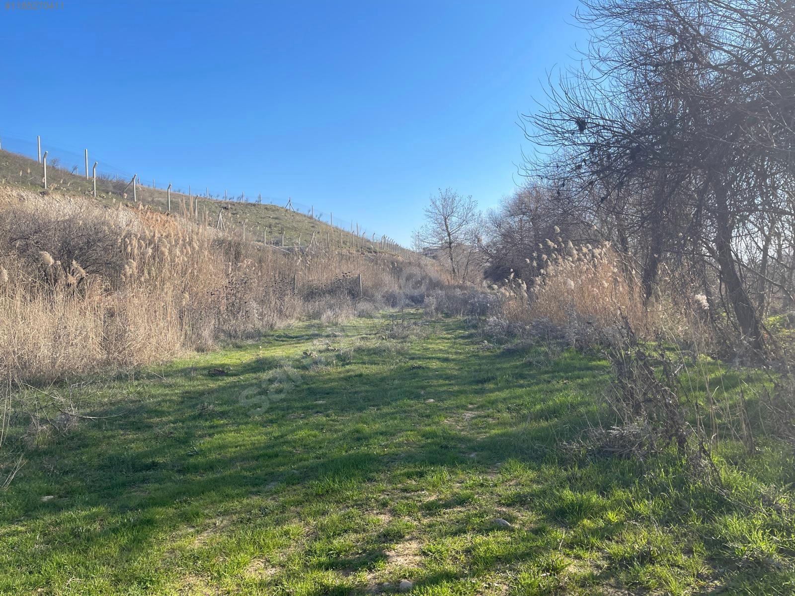 ADIYAMAN KAHTA SALKIMBAĞI KÖYÜNDE  2.150 M²  BAHÇE SATILIKTIR. - ADIYAMAN KAHTA fotoğraf 4