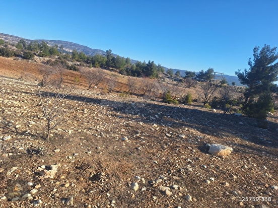 GÜLNAR SARAY MAHALLESİNDE SATILIK 10500 M2 TARLA - MERSİN GÜLNAR fotoğraf 7