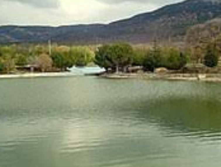 UŞAK SİVASLI SAZAK KÖYÜNDE 1.075 M² ARSA SATILIKTIR - UŞAK SİVASLI fotoğraf 8
