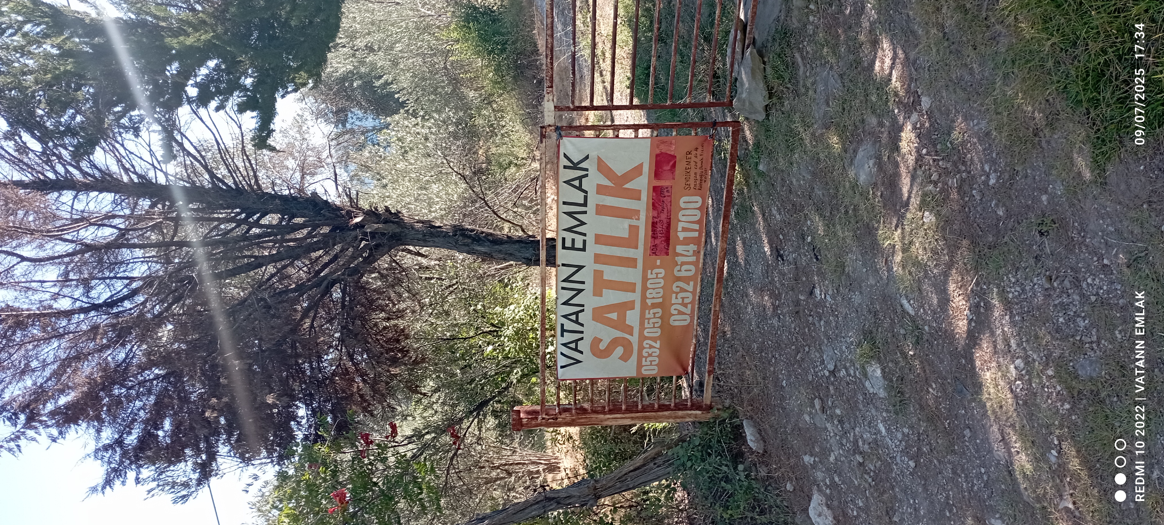 Satılık zeytin bahçesi ve betanerme tapuya kayıtlı ev - MUĞLA SEYDİKEMER fotoğraf 5