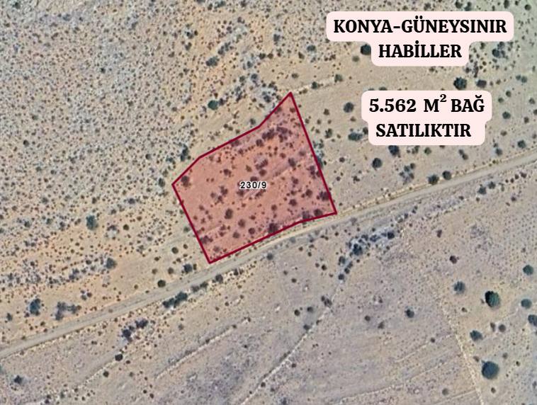 KONYA GÜNEYSINIR HABİLLER  KÖYÜNDE 5.562  M²  BAĞ  SATILIKTIR - KONYA GÜNEYSINIR fotoğraf 2