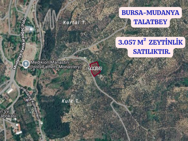 BURSA MUDANYA TİRİLYE (TALATBEY)  KÖYÜNDE 3.057 M²  ZEYTİNLİK SATILIKTIR - BURSA MUDANYA fotoğraf 2