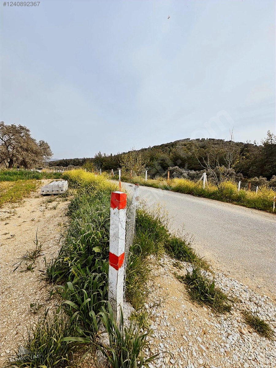 EMİR GAYRİMENKUL'DEN KEMALPAŞA YUKARIKIZILDA 3675 m2 BAHÇE - İZMİR KEMALPAŞA fotoğraf 5