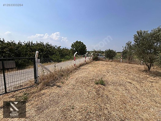 Kemalpaşa Bağyurdu Satılık 5650 m2 Bahçe - İZMİR KEMALPAŞA fotoğraf 3