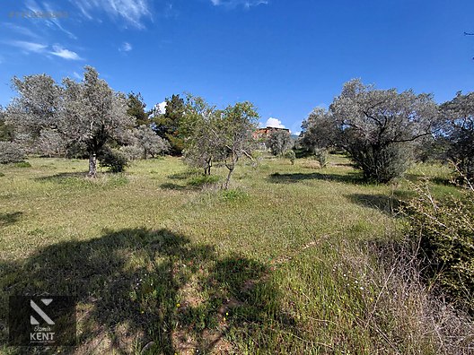 Kemalpaşa Dereköy'de Satılık 4850 m2 Bahçe - İZMİR KEMALPAŞA fotoğraf 13