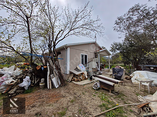 Kemalpaşa M.Akif Ersoy Satılık 7.250 m2 Bahçe Tek Tapu - İZMİR KEMALPAŞA fotoğraf 28