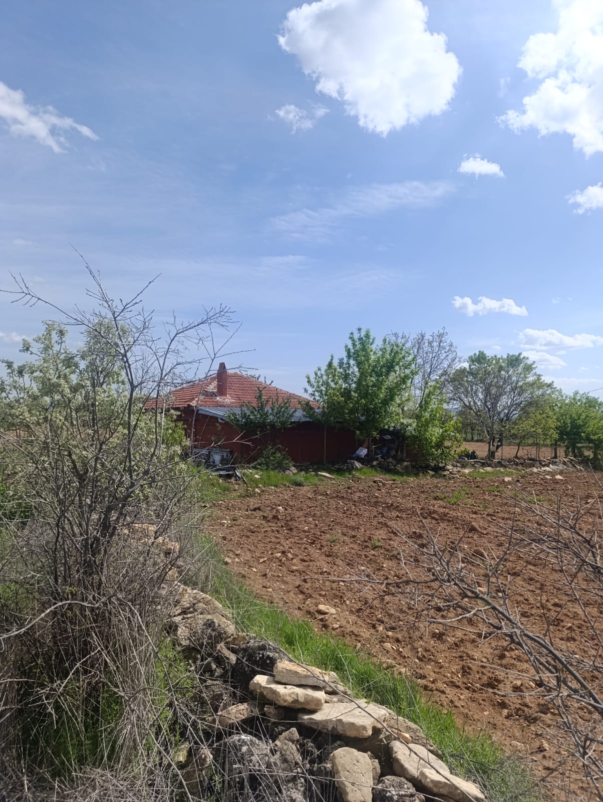 UŞAK KARAHALLI ÇOKAKLI KÖYÜNDE 616M² TARLAMIZ SATILIKTIR  - UŞAK EŞME fotoğraf 2