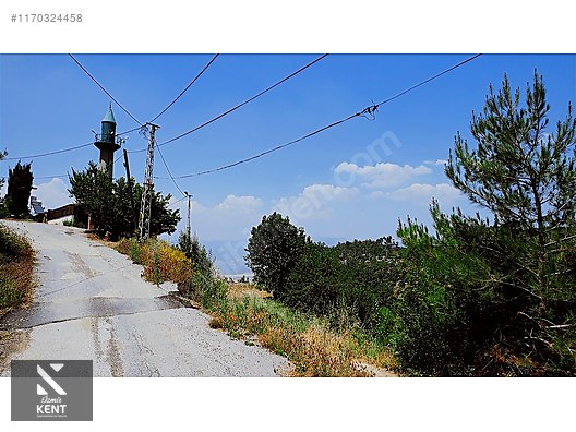 Kemalpaşa Atatürk Kozludere Satılık 6.543 m2 Arazi - İZMİR KEMALPAŞA fotoğraf 29