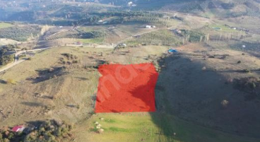 BURSA MUDANYA ÇEPNİ  KÖYÜNDE 7.362 M²  TARLA SATILIKTIR - BURSA MUDANYA fotoğraf 5