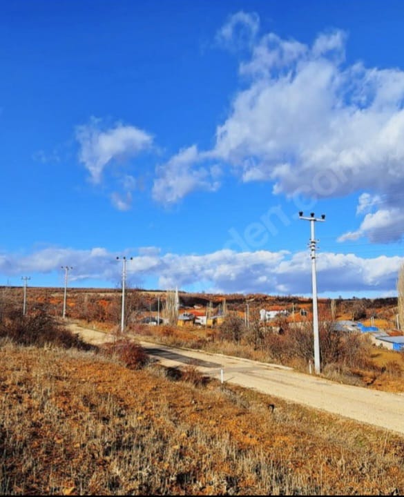  KONYA BEYŞEHİR GÖKÇEKUYU  KÖYÜNDEİ  1.704  M² TARLA SATILIKTIR  - KONYA BEYŞEHİR fotoğraf 5
