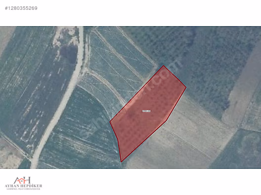 AYHAN HEPDİKer DEN Şehytimarın da yola bir parsel 2880 m2 tarla - SAKARYA KAYNARCA fotoğraf 12