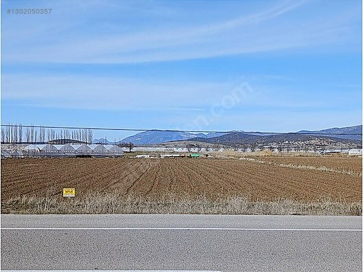 GÜLTEKİN EMLAKTAN YAMADIDA ÇAVDIR YOLU ÜZERİNDE SATILIK TARLA - BURDUR GÖLHİSAR fotoğraf 6