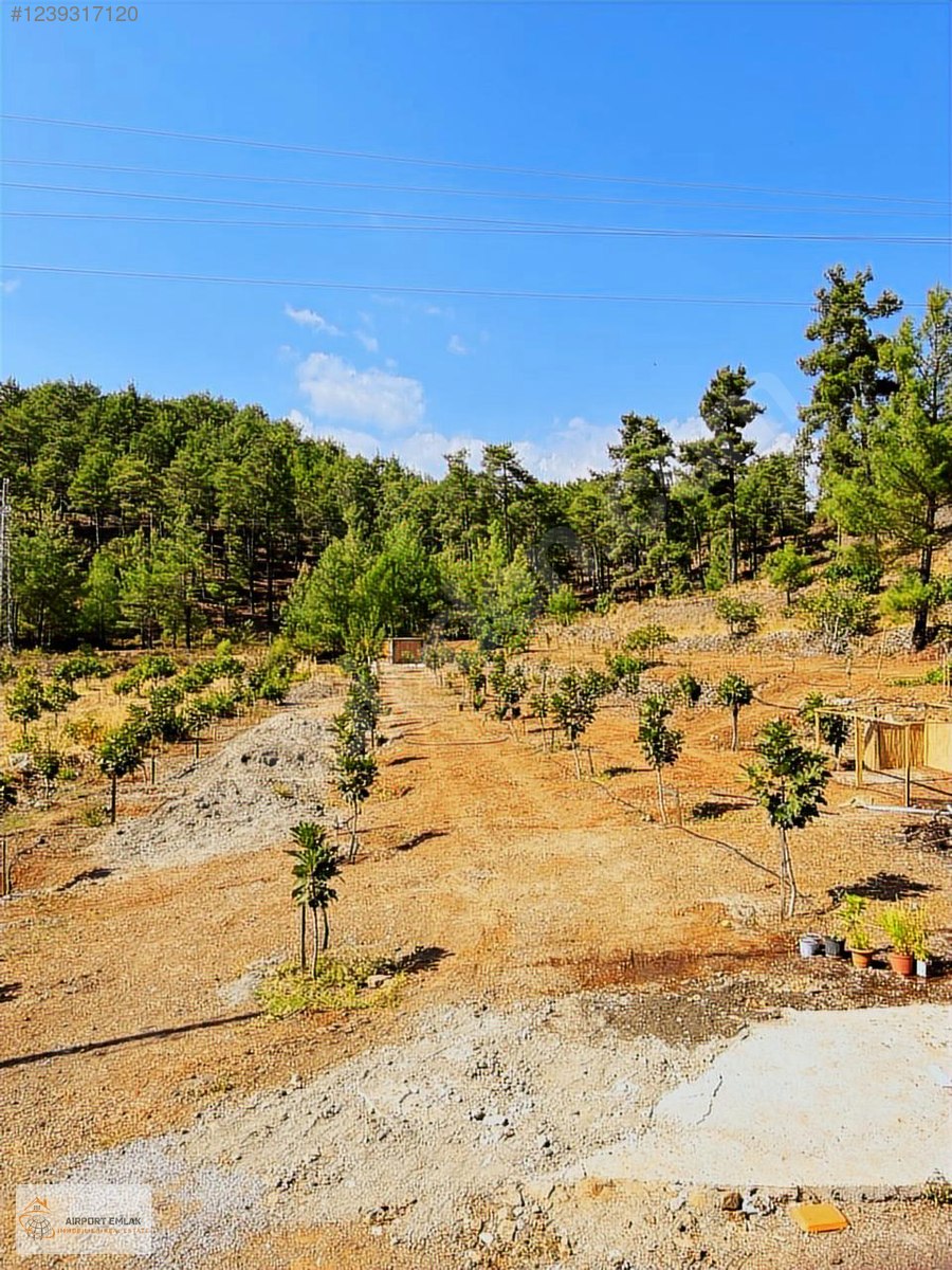 AIRPORT EMLAKTAN DALAMAN GÜRLEYK MAH.YATIRIMLIK SATILIK ÇİFTLİK - MUĞLA DALAMAN fotoğraf 3