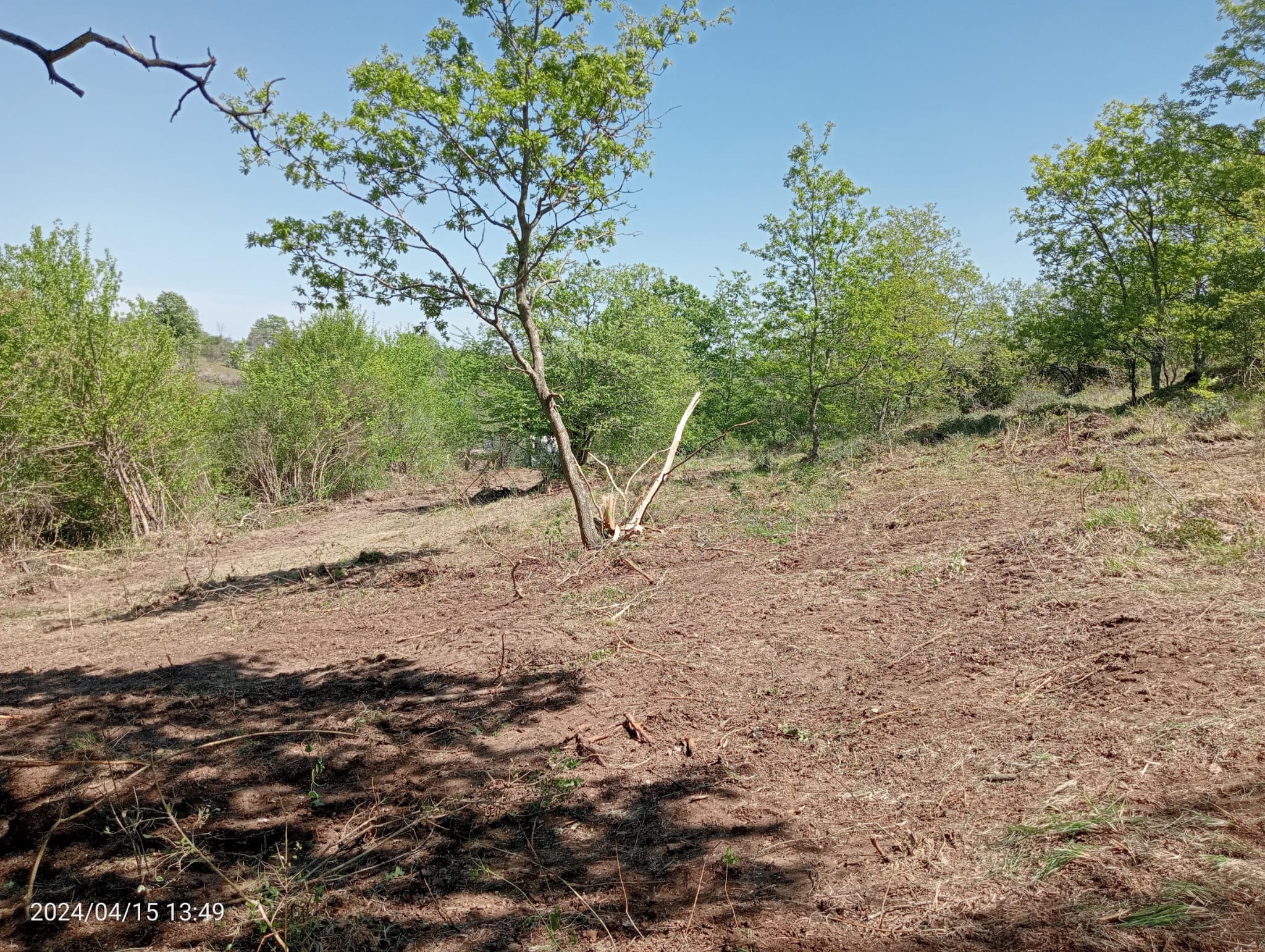    KOCAELİ KANDIRA ÇAKMAKLAR  KÖYÜNDE 206 M²  TARLA SATILIKTIR - KOCAELİ KANDIRA fotoğraf 14