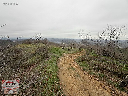 DÜZCE AKÇAKOCA DA EV YAPIMINA UYGUN SATILIK 7.768 M2 FINDIKLIK - DÜZCE AKÇAKOCA fotoğraf 39