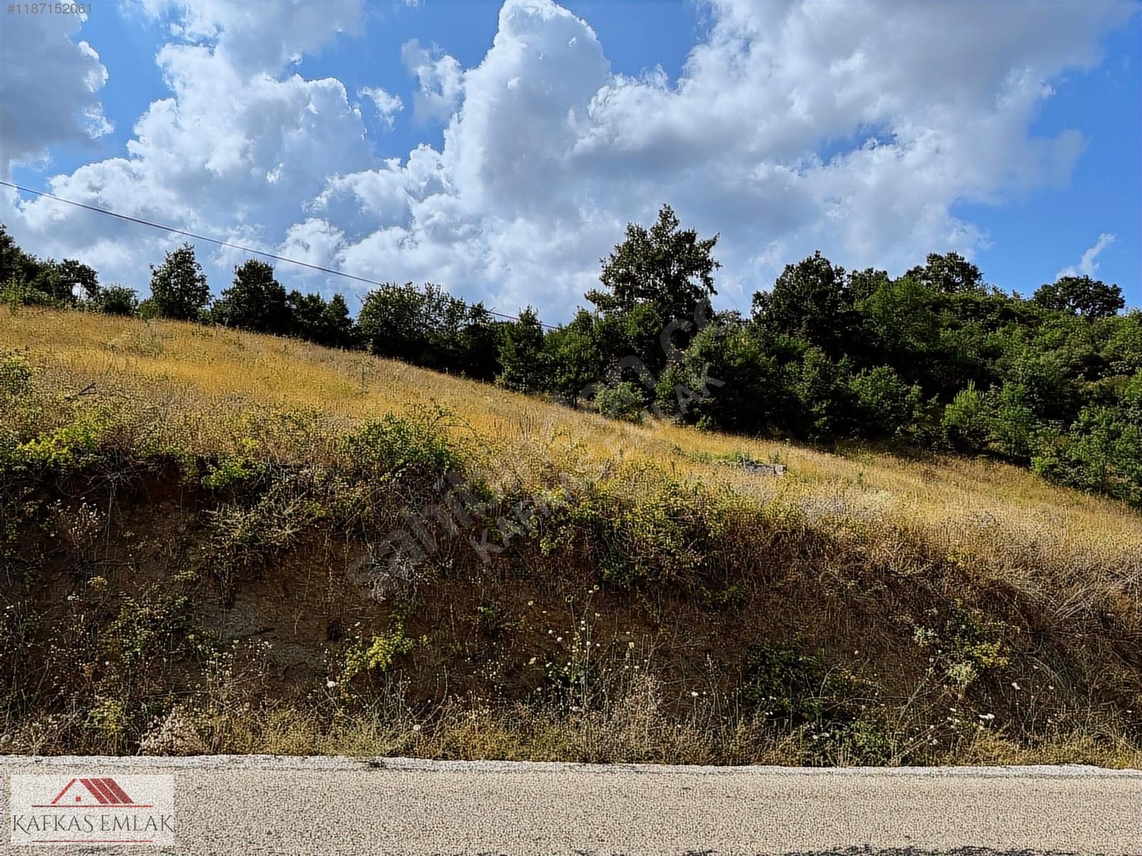 ALPAĞUT MAHALLESİ 5.125 M² KÖY ASFALTINA CEPHE SATILIK TARLA - BURSA MUSTAFAKEMALPAŞA fotoğraf 5