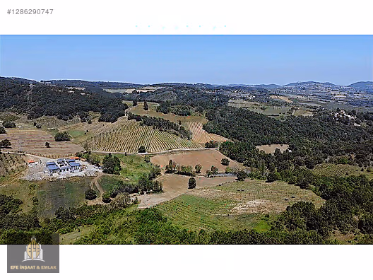 ALTINOVA ÖRENCİKTE 6982 M2 YOLA 66 M YATIRIMA UYGUN MÜSTAKİL - YALOVA ALTINOVA fotoğraf 24