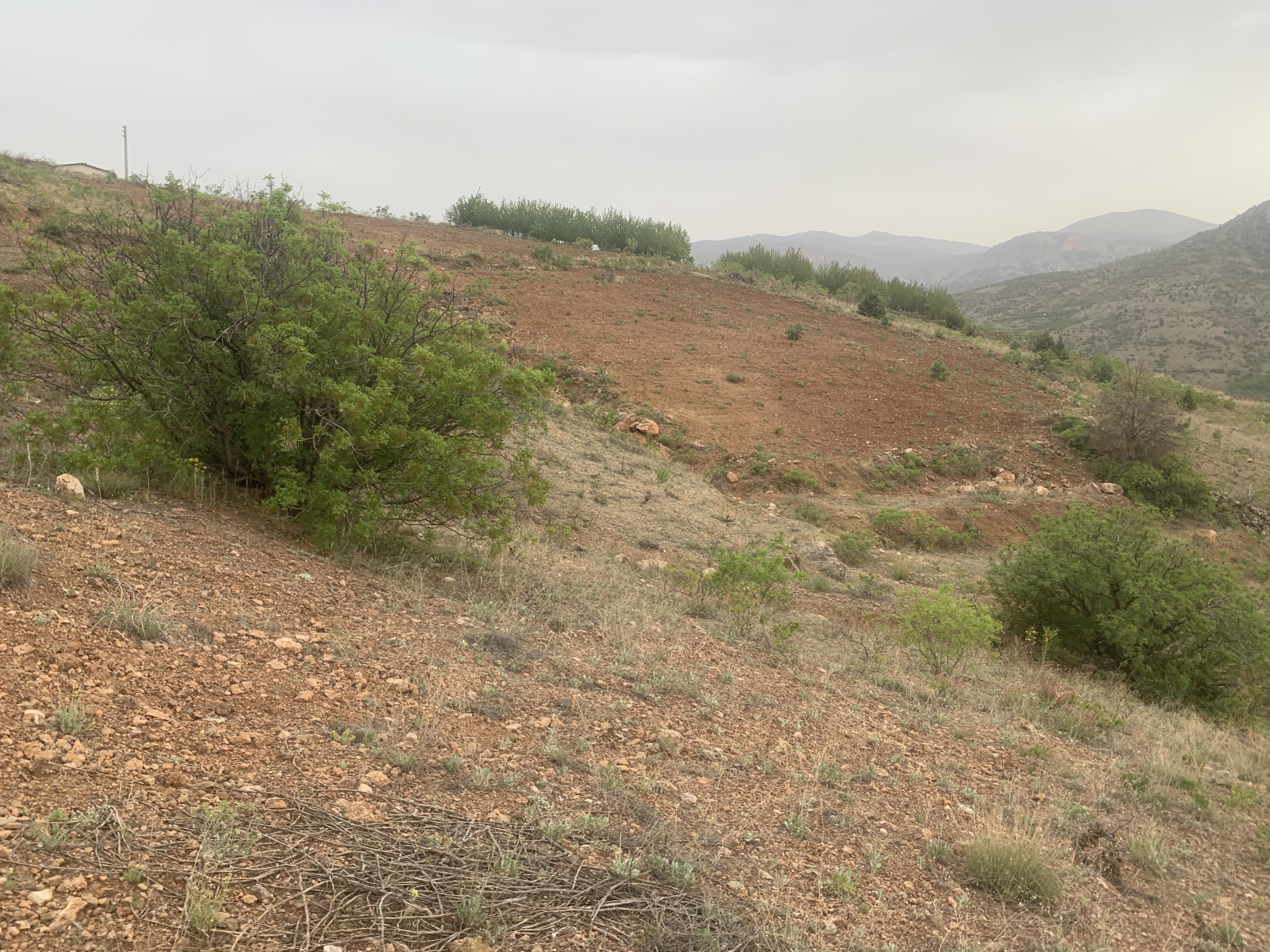 KONYA HADİM AŞAĞI EŞENLER KÖYÜNDE 1.064 M² TARLA SATILIKTIR. - KONYA HADİM fotoğraf 25