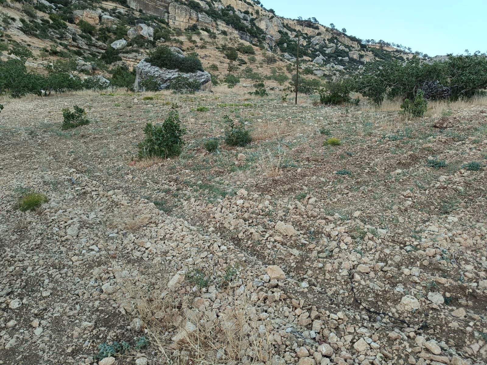    MERSİN MUT GEÇİMLİ KÖYÜ 6,866M² BAĞIMIZ SATILIKTIR.   - MERSİN MUT fotoğraf 14