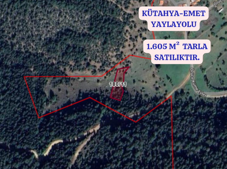 KÜTAHYA EMET YAYLAYOLU  KÖYÜNDE 1.605  M² TARLA  SATILIKTIR - KÜTAHYA EMET fotoğraf 2