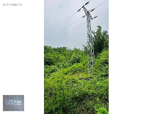 14 DÖNÜM TEK TAPU - BARTIN MERKEZ fotoğraf 21