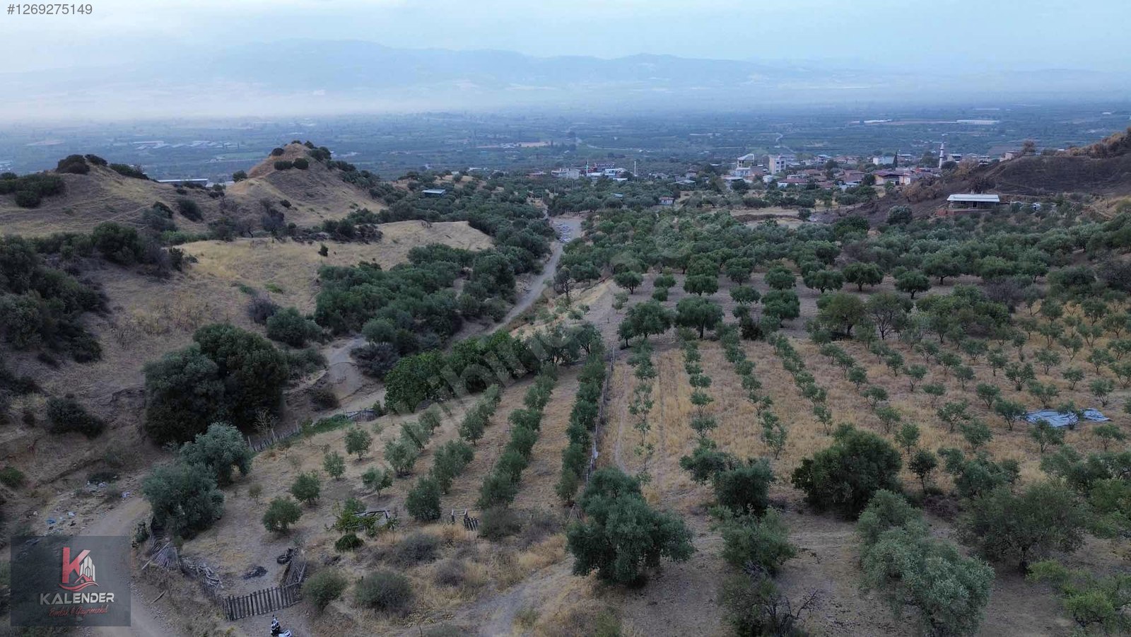 KALENDER EMLAKTAN DERBENTTE SATILIK 1.150 M2 TEK TAPU ZEYTİNLİK - MANİSA TURGUTLU fotoğraf 3