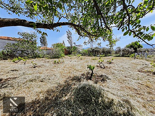 Kemalpaşa Armutlu Satılık 1120 m2 Bahçe - İZMİR KEMALPAŞA fotoğraf 2
