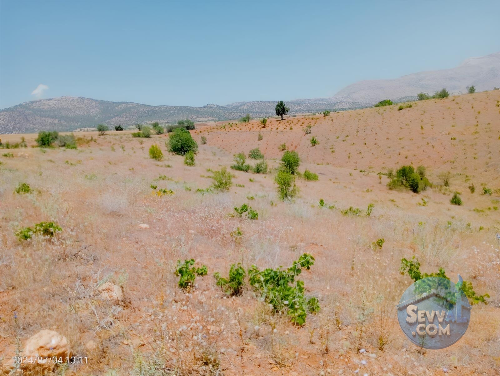 KARAMAN MERKEZ MURATDEDE KÖYÜNDE 5.746 M² ÜZÜM BAĞI SATILIKTIR - Karaman Merkez fotoğraf 3