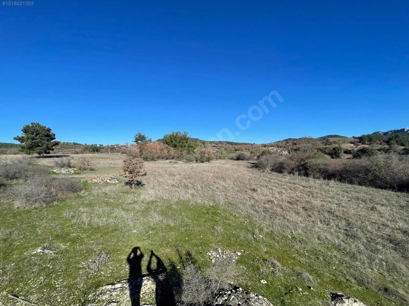 ÇANAKKALE AYVACIK  KÜÇÜKHUSUN'DA 13.388 M²  TARLA  SATILIKTIR. - ÇANAKKALE AYVACIK fotoğraf 14