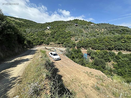 BURSA MUDANYA MİRZAOBA KÖYÜNDE 998 M²  ZEYTİNLİK SATILIKTIR - BURSA MUDANYA fotoğraf 6