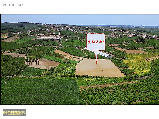11.752 M² FIRSAT FINDIK BAHÇESİ SAKARYA KAYNARCA ZİAHMET MAH. - SAKARYA KAYNARCA fotoğraf 15