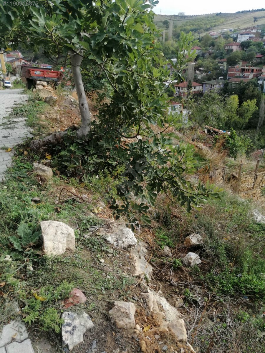 BURSA İZNİK TACİR'DE 495 M² ARSAMIZ SATILIKTIR - BURSA İZNİK fotoğraf 16