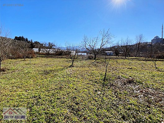 GEMLİK MURATOBA KÖYÜ 1134m² İMARLI SATILIK BAHÇE - BURSA GEMLİK fotoğraf 15