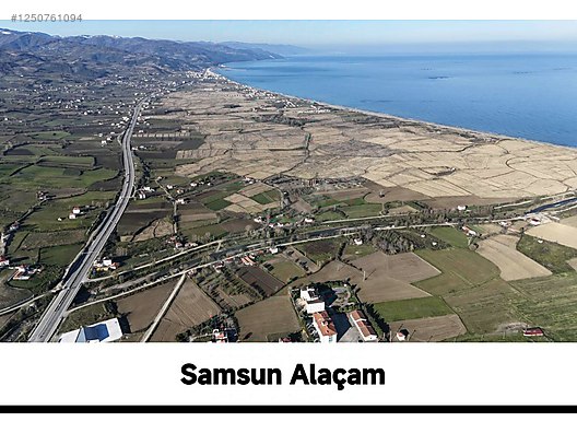 samsun alaçam pelitbükü'nde ana yol üzeri geniş cepheli tarla - SAMSUN ALAÇAM fotoğraf 8