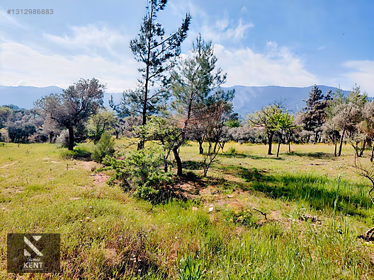 Kemalpaşa Dereköy'de Satılık 4850 m2 Bahçe - İZMİR KEMALPAŞA fotoğraf 35
