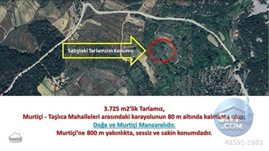 Murtiçine Yakın Konumda Acil Satılık Tarla - ANTALYA AKSEKİ fotoğraf 23