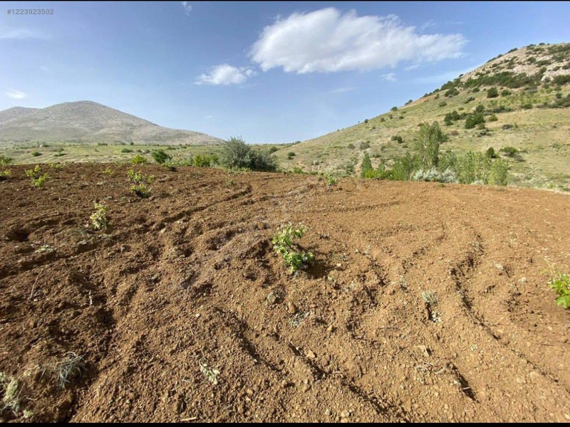 KARAMAN MERKEZ BAŞKIŞLA  1.972 m² BAĞIMIZ SATILIKTIR. - KARAMAN MERKEZ fotoğraf 3