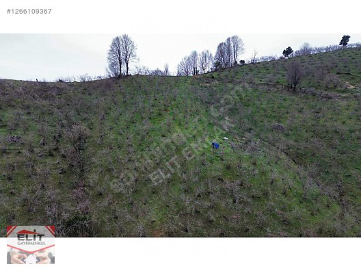 DÜZCE AKÇAKOCA DA EV YAPIMINA UYGUN SATILIK 7.768 M2 FINDIKLIK - DÜZCE AKÇAKOCA fotoğraf 43