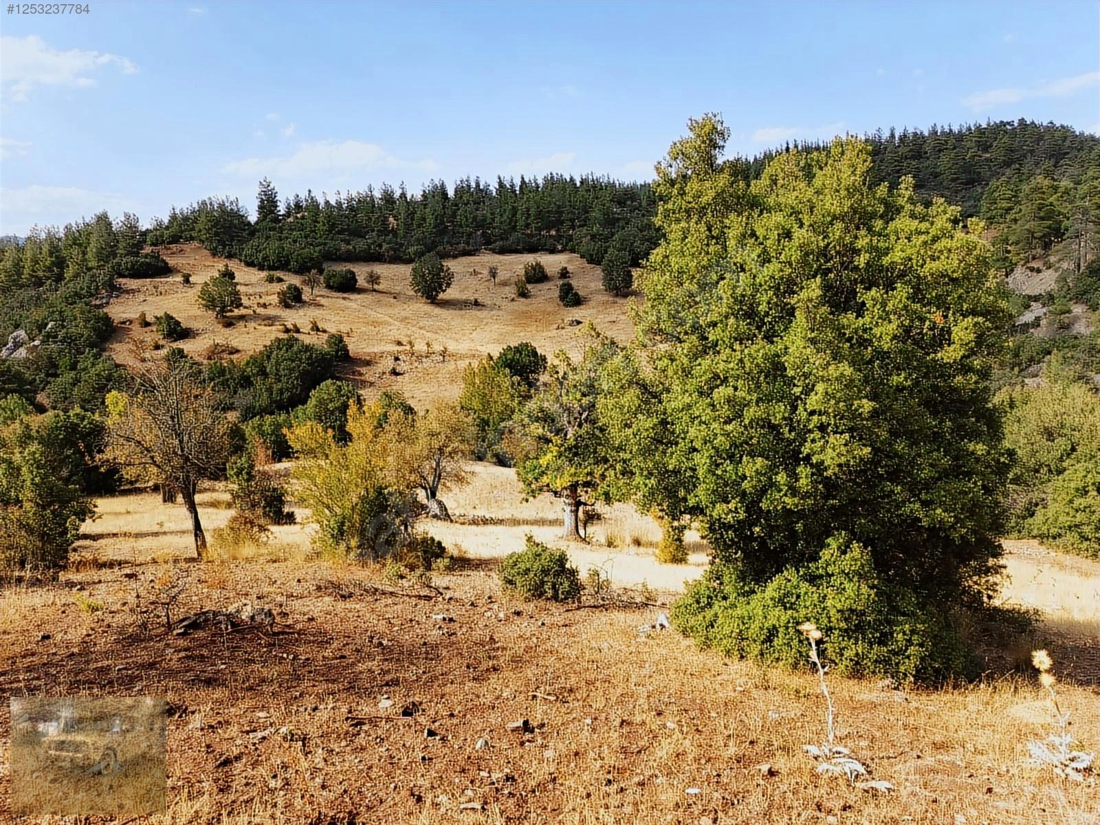 konyaaltı Doyranda 629m tapulu arsa - ANTALYA KONYAALTI fotoğraf 14