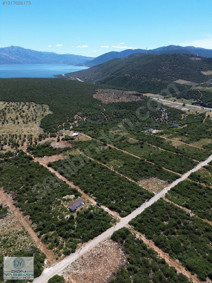 Bafa Gölü Manzaralı Yatırımlık Arsa Fırsatı - AYDIN DİDİM fotoğraf 8