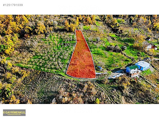 GEYVE DEREKÖYDE 1299 M2 SAKARYA NEHRİ MANZARALI TARLA - SAKARYA GEYVE fotoğraf 10