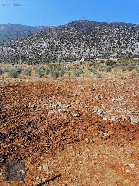 DÖŞEMEALTI AKKOÇTA TEK TAPULU 426 M² STRATEJİK YATIRIM ARAZİSİ - ANTALYA DÖŞEMEALTI fotoğraf 7