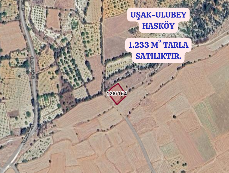 UŞAK ULUBEY HASKÖY KÖYÜNDE  1.233 M² TARLA  SATILIKTIR  - UŞAK ULUBEY fotoğraf 2