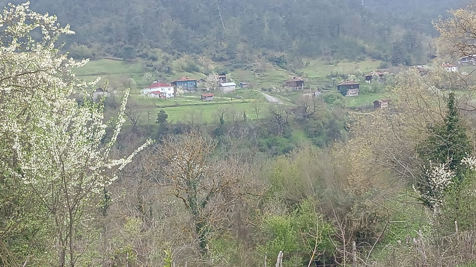 UŞAK EŞME AKÇAKÖY KÖYÜNDE 8.675 M² TARLA SATILIKTIR - UŞAK EŞME fotoğraf 10