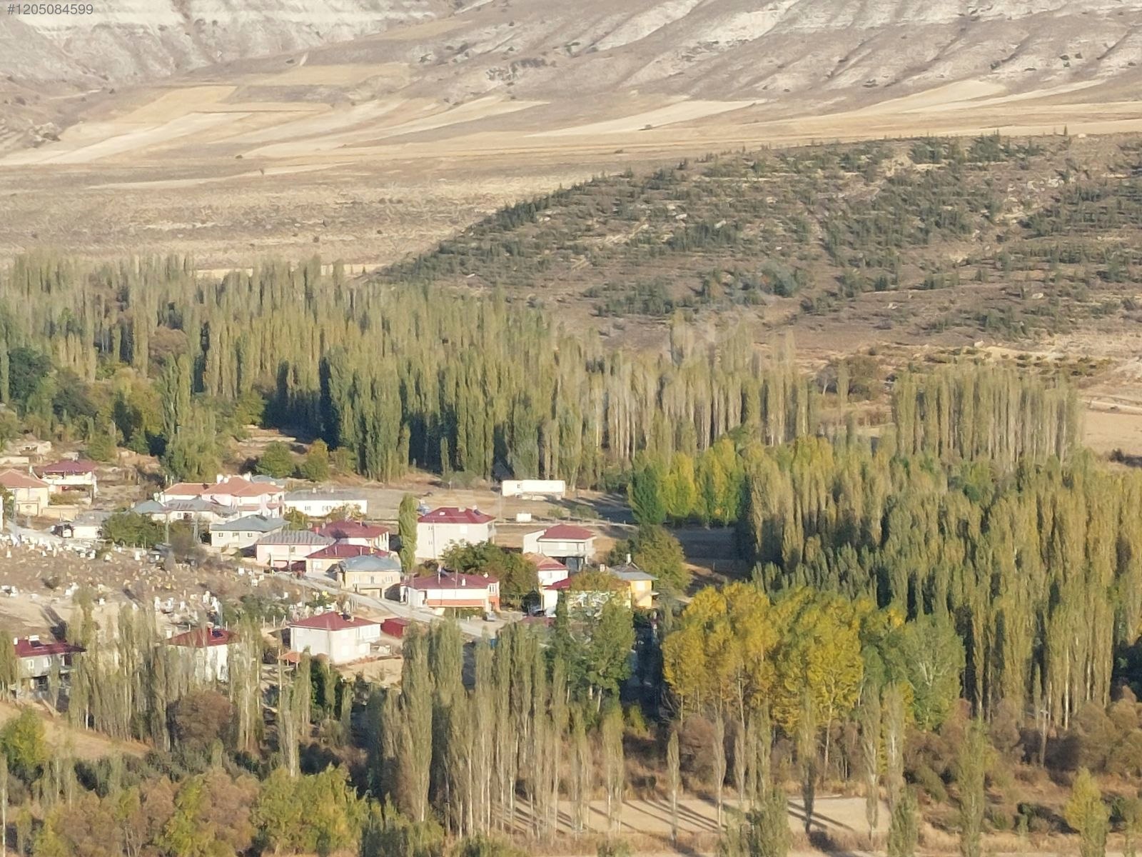 Mut Güme 12 dönüm tek tapu köye yakın tarla  12031M²  - MERSİN MUT fotoğraf 12
