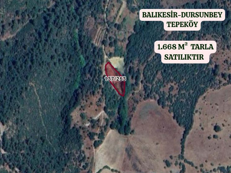 BALIKESİR DURSUNBEY TEPEKÖY   KÖYÜNDE 1.668 M² TARLA  SATILIKTIR - BALIKESİR DURSUNBEY fotoğraf 2