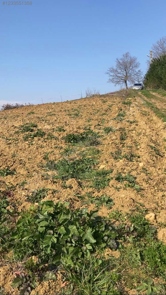 Sahibinden Göl Manzaralı, Kadastro yollu çok iyi konumda tarla - KOCAELİ KANDIRA fotoğraf 14